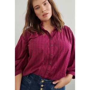 Anthro Pilcro The Tavi Buttondown Raspberry Blouse